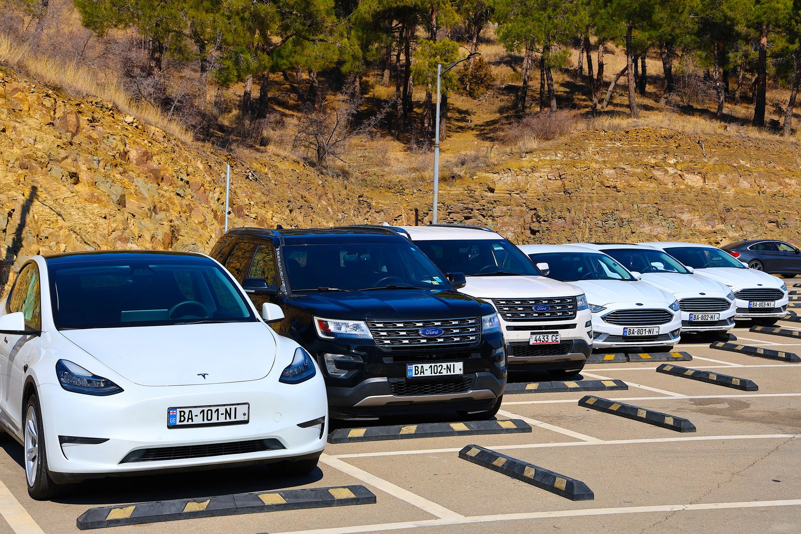 About Mgzavrobani Premium Cars